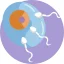 Female Infertility Treatment